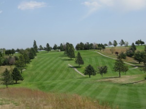 Golf Course Grass